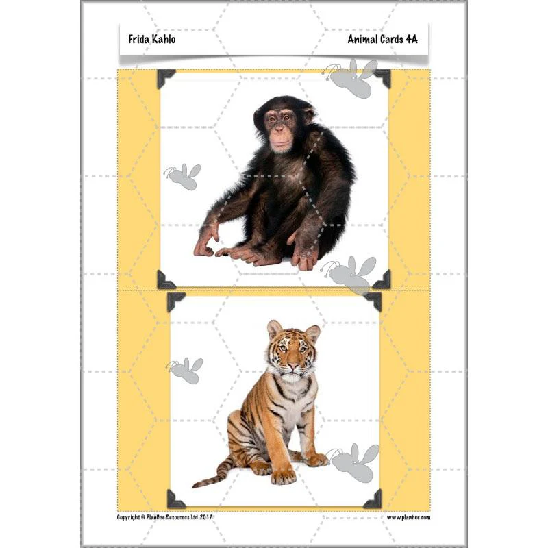 Product image 49