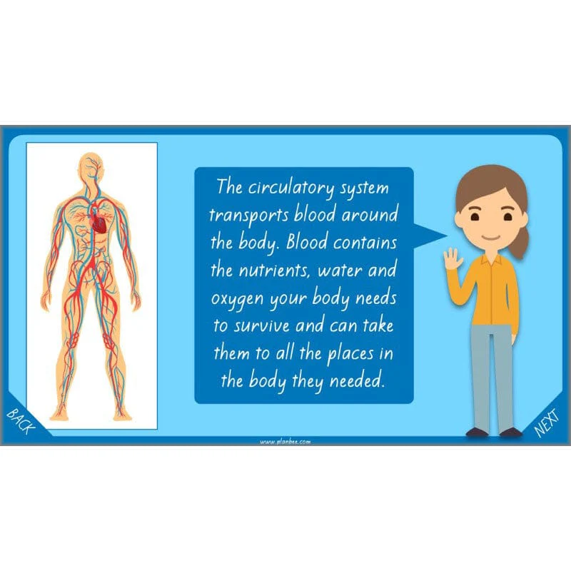 Product image 50