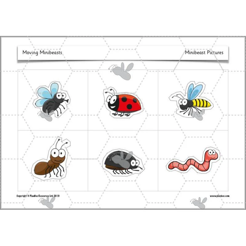 Product image 62