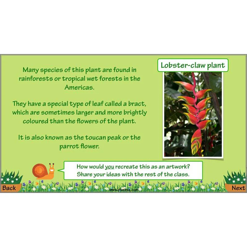 Product image 76