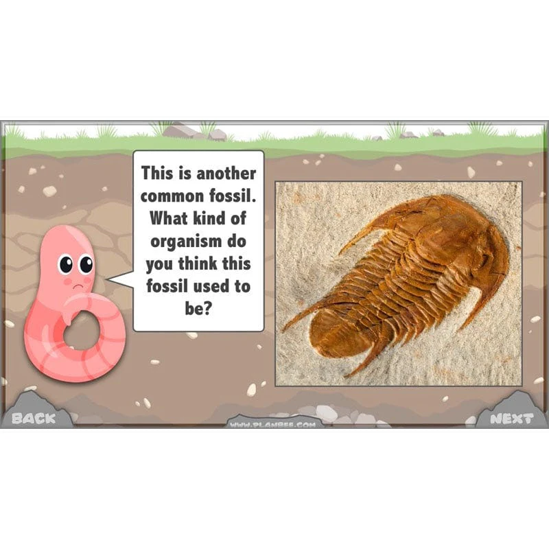 Product image 73