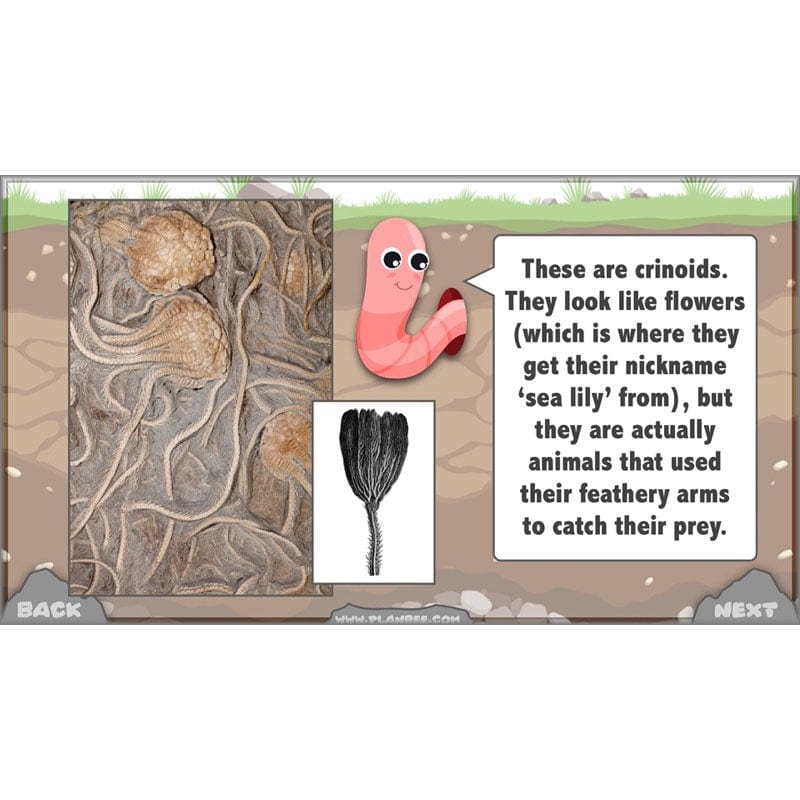 Product image 74