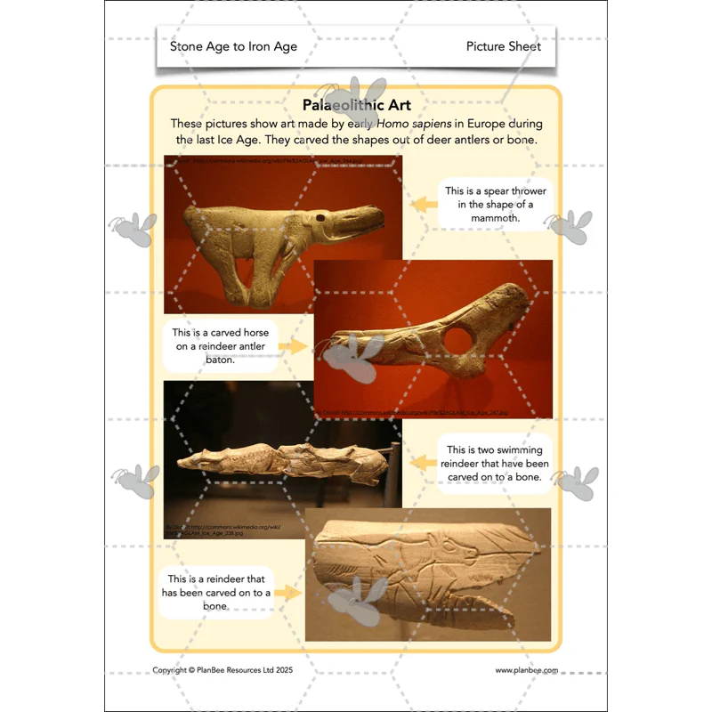 Product image 41