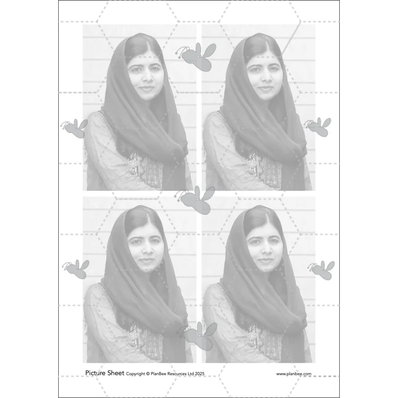 Product image 53